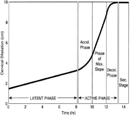 Figure 1 : Courbe de la dilatation cervicale en fonction du temps selon E. Friedman (2)