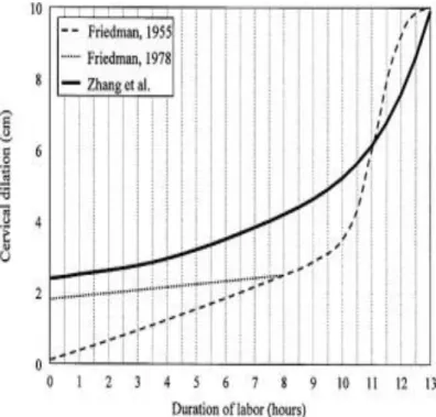 Figure 2 : Comparaison des courbes de dilatation cervicale selon le temps, établies par E