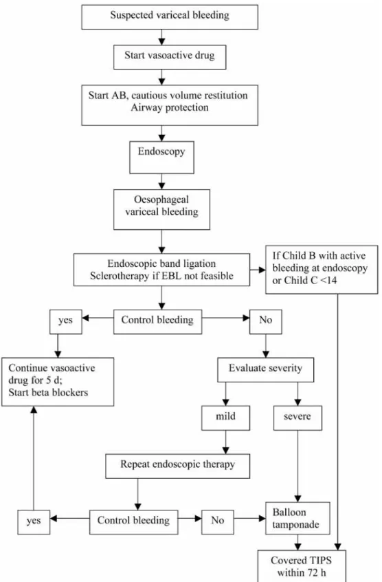 Fig. 2. — Algorithm for oesophageal variceal bleeding (20, 21, 52) (Baveno V)