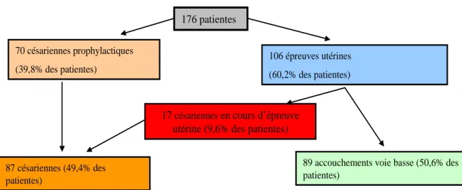Figure  4  –  Résultats  généraux  de  l’étude :  répartition  des  patientes  suivant  les  différents  modes d’accouchement 
