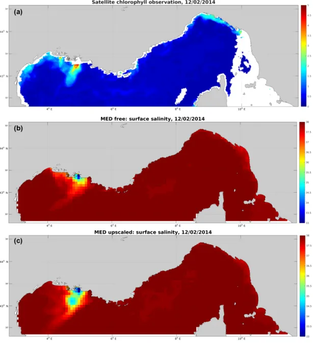 Figure 9. Comparison of the Rhône River plume on 12 February 2014: (a) satellite chlorophyll image, (b) free parent model salinity (c) and upscaled parent model salinity.