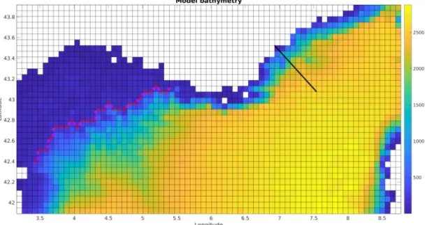 Figure 2. Zoom of the MED model grid, with the positions for computing the Northern Current metric (black line) and the cross-shelf transport metric (magenta and red dots).