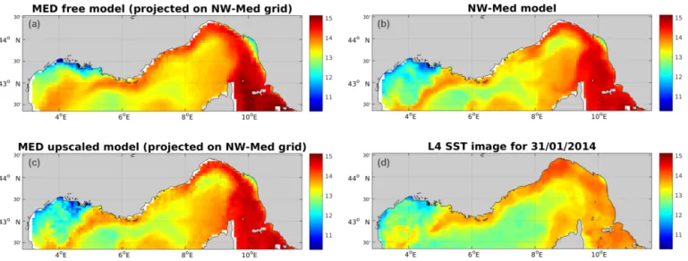 Figure 5. Sea surface temperature after the first upscaling step (31 January 2014) in the free model (a), nested model (b), upscaled model (c) and L4 satellite observation (d).