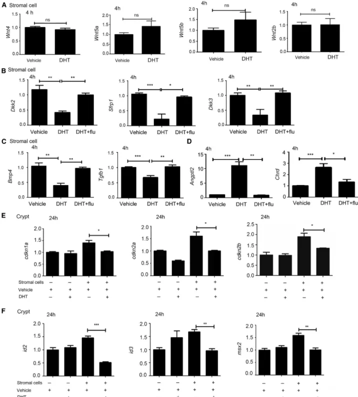 Figure 5. Androgen Regulated the BMP-Related Gene Expression in Intestinal Stromal Cells