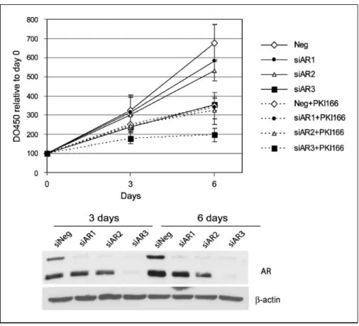 Figure 5. 22Rv1 cells were seeded in SDM at a density of 5,000 per well of a 96-well plate