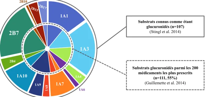 Figure 2. Diagramme de la contribution de chaque UGT 