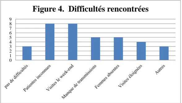 Figure 4.  Difficultés rencontrées 