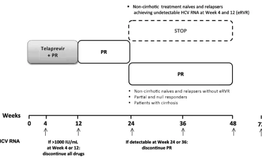 Fig. 2. — HCV RNA monitoring during treatment and futility rules P : pegylated interferon ; R : ribavirin, eRVR : extended rapid virological response