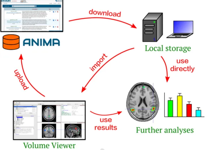 Fig. 4. Overview of typical database usage, illustrating the process of querying, selecting, downloading, and importing the data into the Volume Viewer library