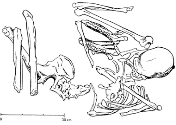 Fig. 1. La vaste famille des primates présente une large gamme de mécaniques locomotrices, en perpétuelle quête de renouvellement
