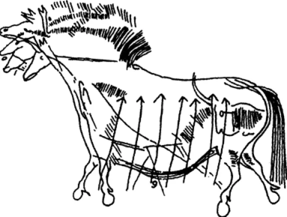 Fig. 3. L'image animale fut extraite de la mythologie orale et la figea en expressions plastiques perpétuelles.