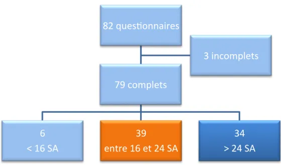 Figure 1 : Organigramme des questionnaires 