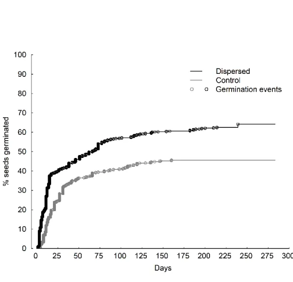 Fig. 1-2. Kaplan–Meier curves illustrating the temporal pattern of germination of all plant species for  dispersed (N = 1 023) and control (N = 963) seeds