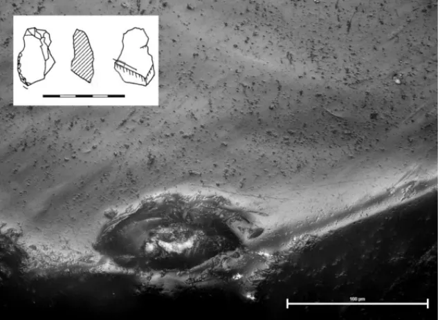 Fig. 2. Wear from planing/scraping on an unmodified, obtuse-angled edge of tool  NM 31377:1043 from Kaaraneskoski