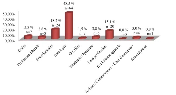 Figure 2 : Répartition des activités professionnelles 0,00% 10,00% 20,00% 30,00% 40,00% 50,00% 5,3 % n=7 3,8 % n=5 18,2 % n=24 48,5 % n=64 1,5 % n=2 3,8 % n=5 15,1 % n=20  0,0 % n=0  3,0 % n=4  0,8 % n=1 