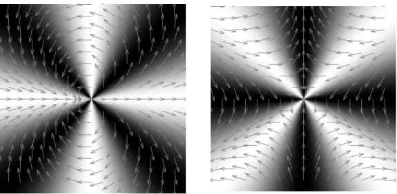 Fig. 12.—AGPM response to linear polarization. Left: Intensity map for an input linear horizontal polarization seen by a horizontal analyzer