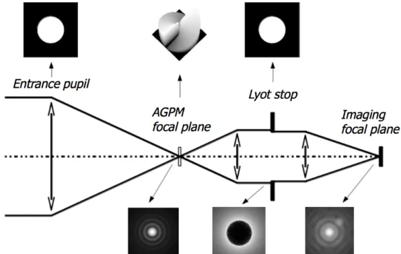 Figure  2.  AGPM  coronagraphic  optical  bench  scheme.  Numerical  coronagraphic  simulation  illustrating  the  diffractive behavior of the AGPM in the K-band (Mawet et al