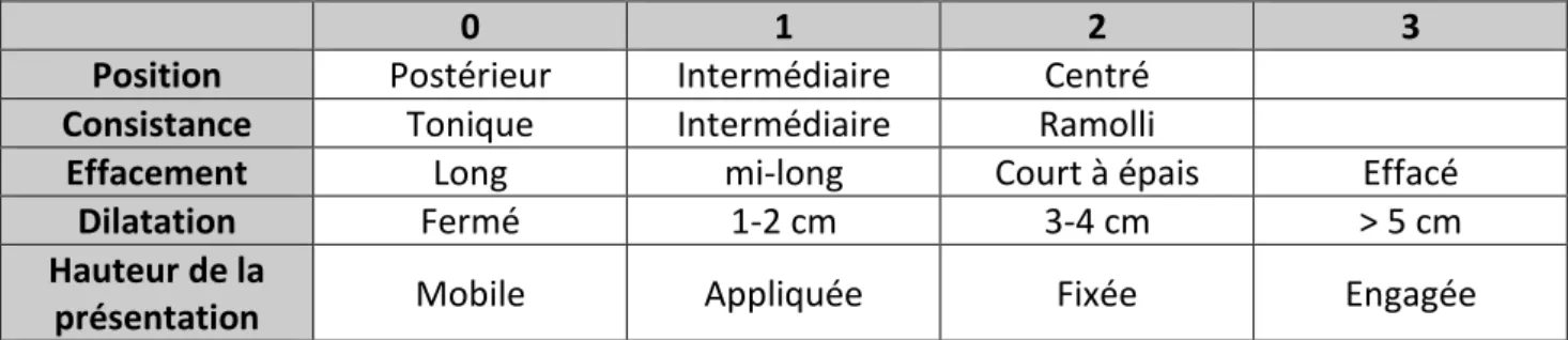 Figure 1 : Cotation du score de Bishop (18) 