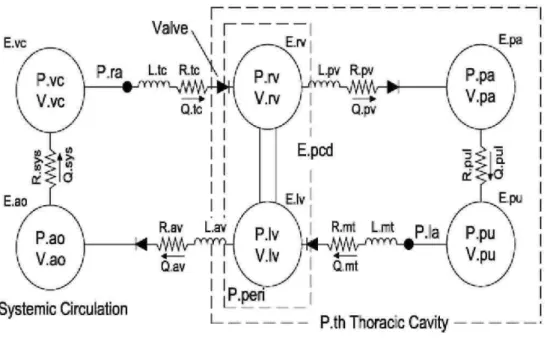 Fig. 1 - Six chamber CVS model with inertial effects and ventricular interaction. 