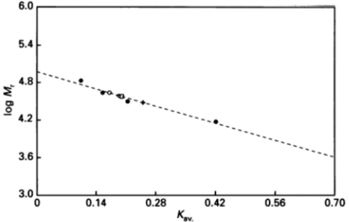 Fig. 2. Calibration curve of log Mr versus distribution coefficients for a gel- gel-filtration experiment through a Superdex 200 column in the presence