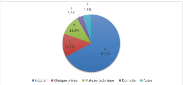 Figure 1 : Lieux des précédents accouchements chez les patientes multipares 4167,2%813,1%711,5%23,3%34,9%