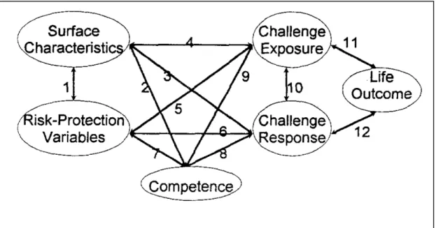 Figure 1: The Coping-Competence Model 