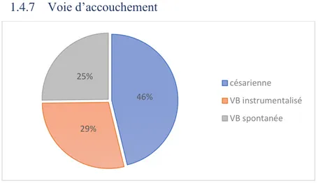 Figure 12 : répartition de la voie d'accouchement de la population étudiée (n=119) 