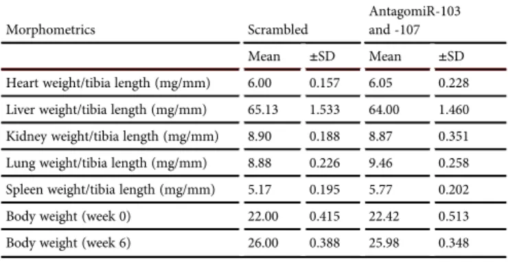 Table 2), 6 weeks of antagomiR-103 and -107 treatment led to decreased global strain in both radial and circumferential planes compared to day 1 (Figure 1E)