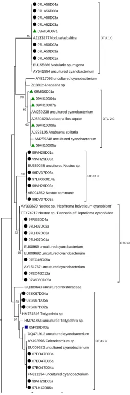 Fig. 7. Distance tree (Neighbor Joining) on 174 partial sequences (375 bp, E. coli positions 433  to 808) of the 16S rRNA gene