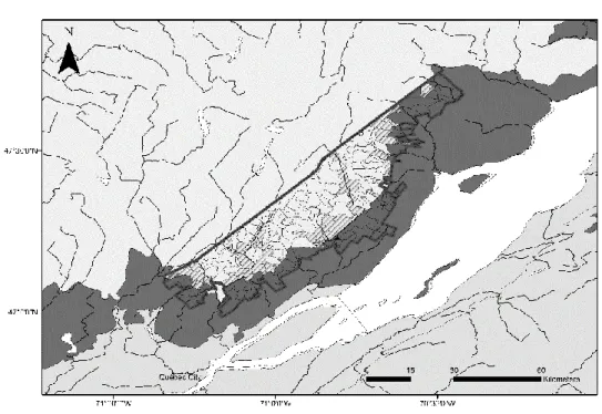 Figure 2 : Division of the study area into 201 hunting clubs and their attribution to either the more productive  region (dark grey; balsam fir-yellow birch domain) or the less productive region (light grey; balsam fir-white birch  domain)