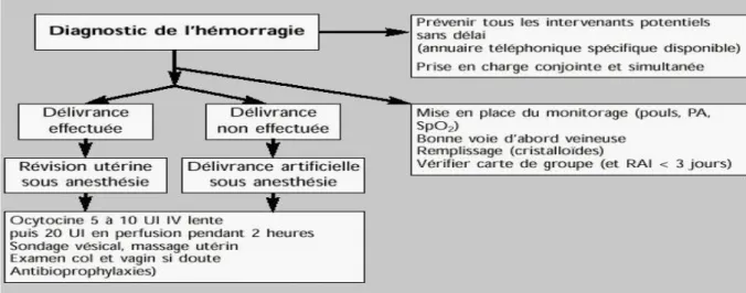 Figure 1 : Prise en charge d’une hémorragie du post-partum immédiat 15