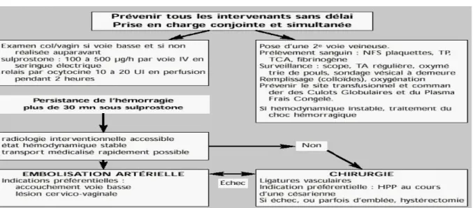 Figure 2 : Prise en charge d’une hémorragie du post-partum immédiat après 15 à 30min 