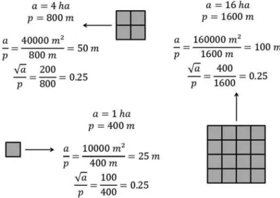 Fig. 8.4 The impact of patch size on patch shape assessment. a is the patch area, p is the patch perimeter