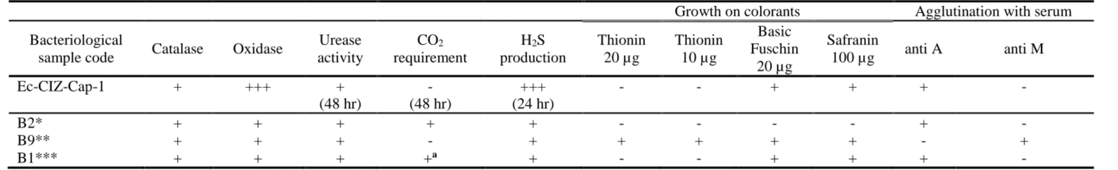 Table 2. Characterization of the caprine Brucella spp. isolate  364 