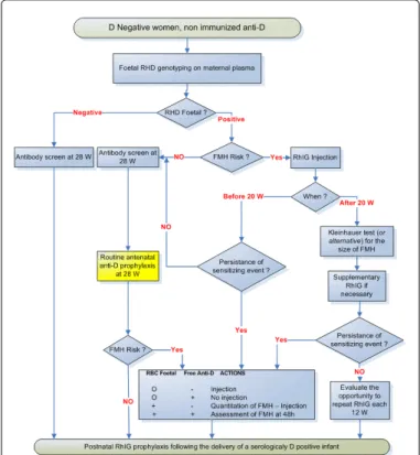 Figure 2: Algorithm for RhIG prophylaxis in pregnant D- women.