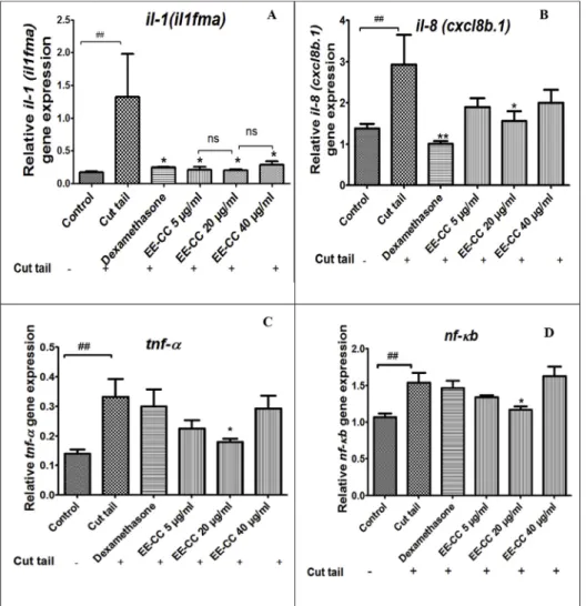 Fig. 9. E ﬀ ects of EE-CC on the expression of the anti-in ﬂ ammatory gene il-10 in inﬂammation- induced zebraﬁsh model