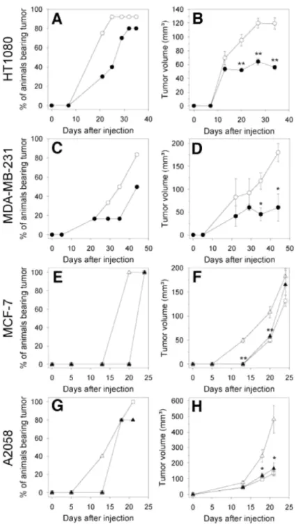 Fig. 4  Effect of Ro-28-2653 on the development of different human tumor xenografts in mice