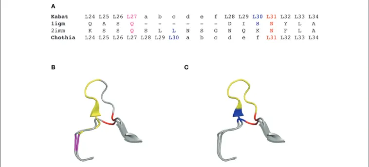 FIGURE 1 | CDRL1 amino acid insertion positions according to the Kabat and Chothia numbering scheme for light chain variable domains of protein databank (PDB) structures 1igm and 2imm