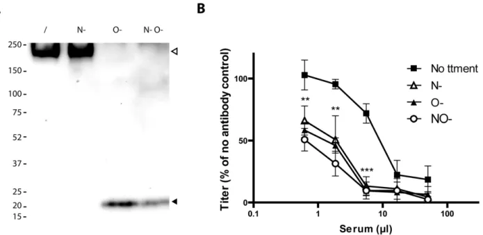 Figure 5. Glycosylation of BoHV-4 gp180 and importance of BoHV-4 glycans in neutralization evasion