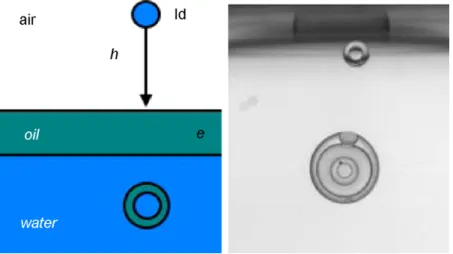 Fig. 3. Two different encapsulations obtained by impacting a droplet on a thin layer of oil placed above a water bath: (left) encapsulated droplet and (right) multi-layered ﬂuid droplet, called “liquid onion”.