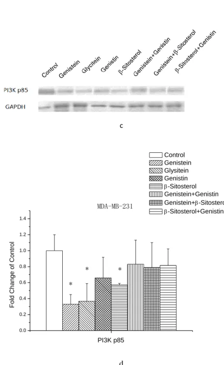 Figure 10. The protein expression level of PI3K p85. Cells were treated with samples, or  control for 72 h