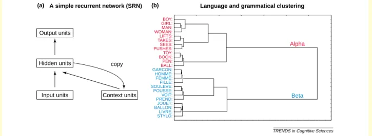 Figure I. (a) A simple recurrent network, and (b) the language and grammatical clustering of two languages (notionally denoted by Alpha and Beta) that is achieved by a bilingual SRN, after training on 20,000 sentences based only on its input of three-word 