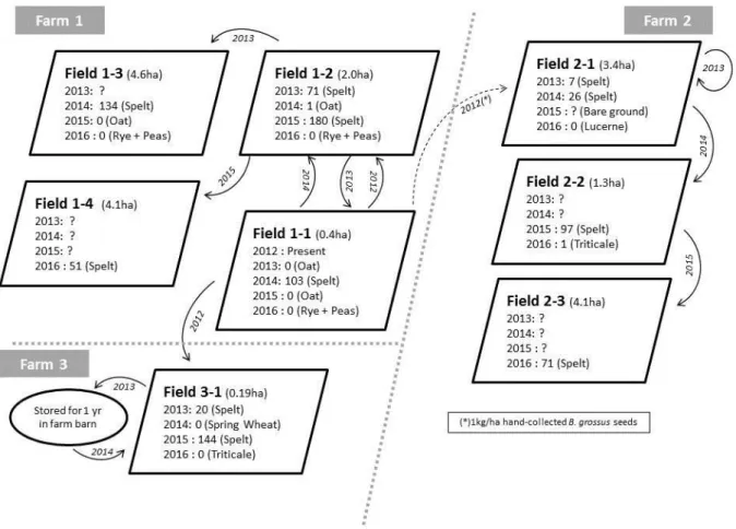 Figure 1. Schematic view of monitored fields and spelt seeds transfers. Figures represent Bromus grossus densities in each field  and in each year from 2013 to 2016, as mean panicles/m²