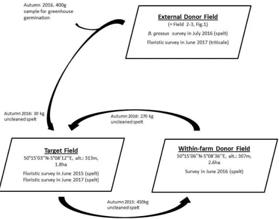 Figure  2.  Schematic  representation  of  transfers  of  uncleaned  crop  seed,  as  part  of  the B