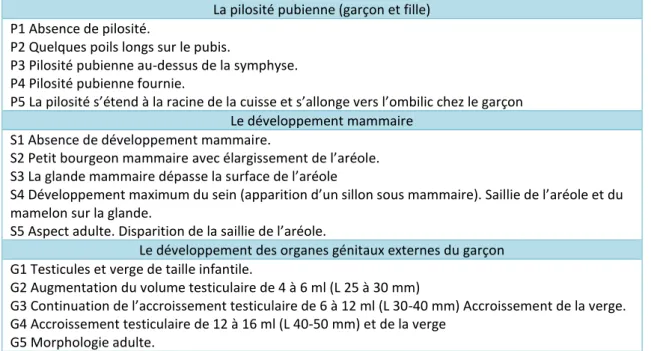 Tableau I Classification de Tanner 