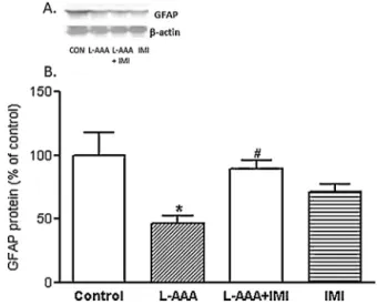 Fig. 6. The effect of l -AAA and imipramine (IMI) administration on the GFAP level in the rat PFC