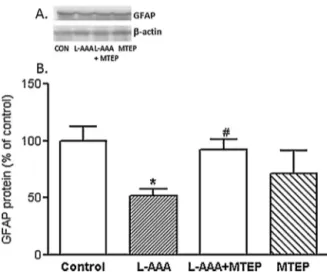 Fig. 7. The effect of l -AAA and MTEP administration on the GFAP level in the rat PFC