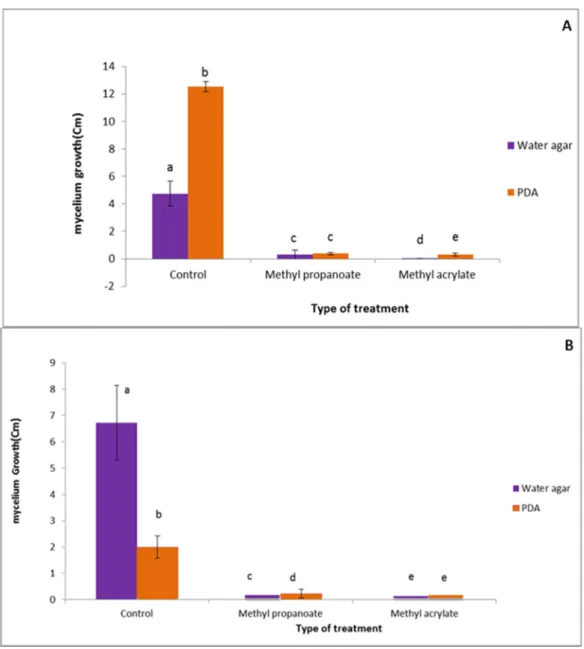 Figure 3. Comparison of F. culmorum (A) and C. sativus (B) mycelial growth in direct contact with the  VOCs at 500 μM on water agar and PDA medium