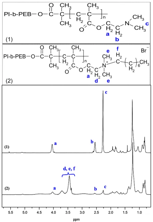 Fig. 2.  1 H NMR spectra for (1) PI-b-PEB-b-PDMAEMA and (2) PI-b-PEB-b-