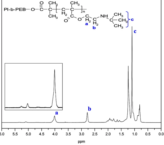 Fig. 3.  1 H NMR spectrum of PI-b-PEB-b-PTBAEMA 